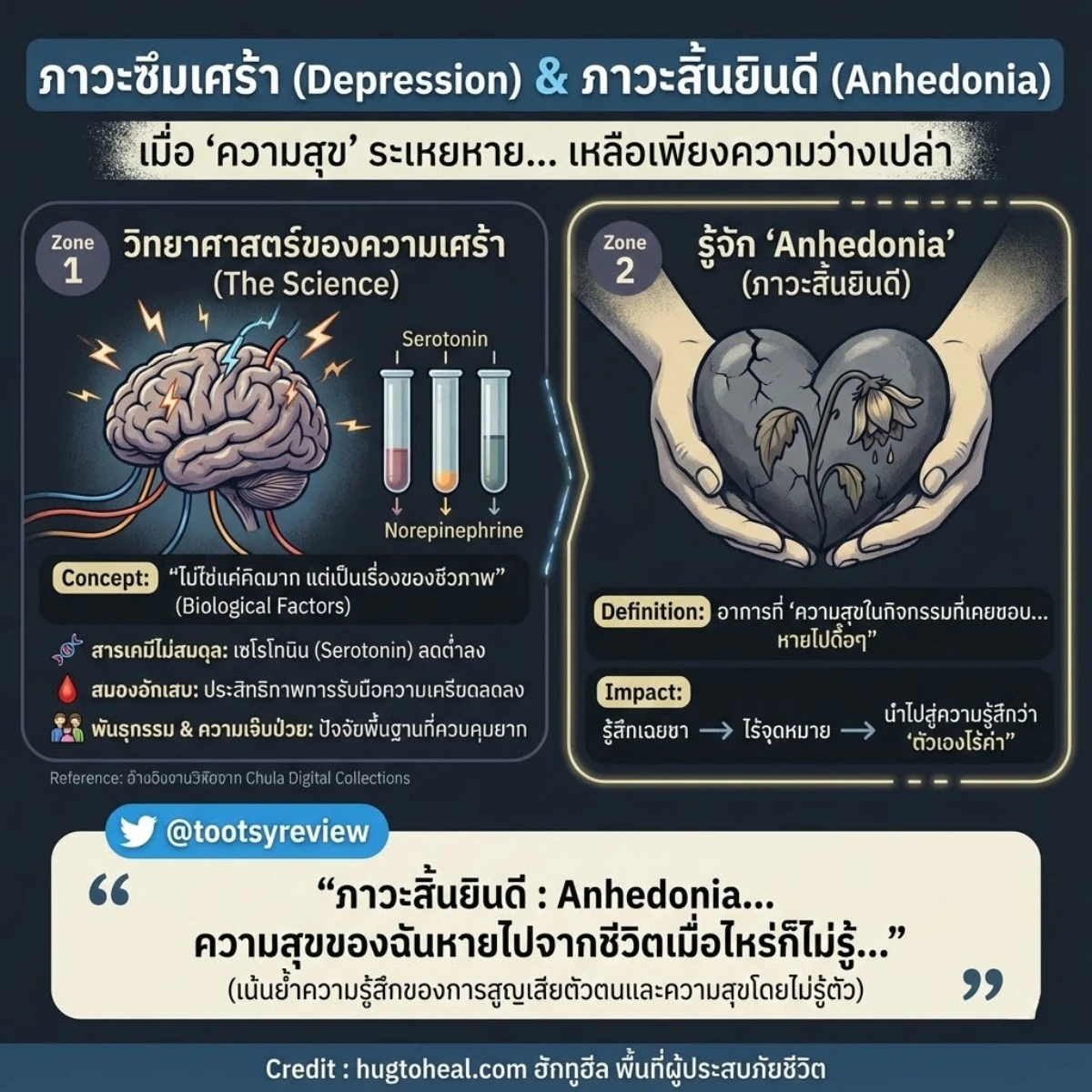 อินโฟกราฟิกสี่เหลี่ยมจัตุรัส หัวข้อ ภาวะซึมเศร้า (Depression) และภาวะสิ้นยินดี (Anhedonia) อธิบายสาเหตุทางชีวภาพของความรู้สึกไร้ค่า ไม่ว่าจะเป็นความไม่สมดุลของสารสื่อประสาท (เซโรโทนิน), พันธุกรรม, หรือการอักเสบในสมอง ซึ่งอ้างอิงข้อมูลจาก Chula Digital Collections